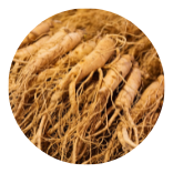 Korean Red Ginseng Extract